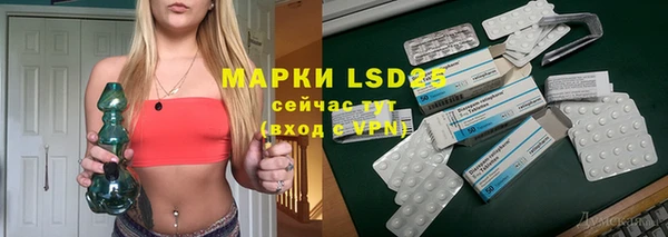 амф Верея