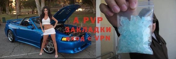 амф Верея