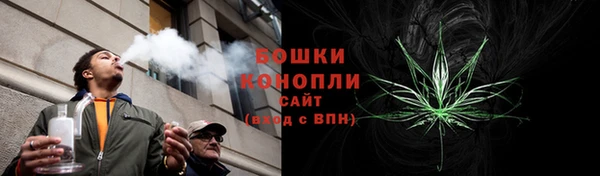 амф Верея